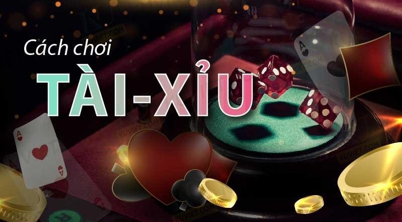 Vào Win55 tìm game tài xỉu Win55  nhiều người chơi nhất nhanh hơn